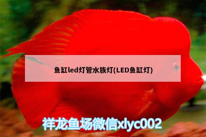 魚缸led燈管水族燈(LED魚缸燈)