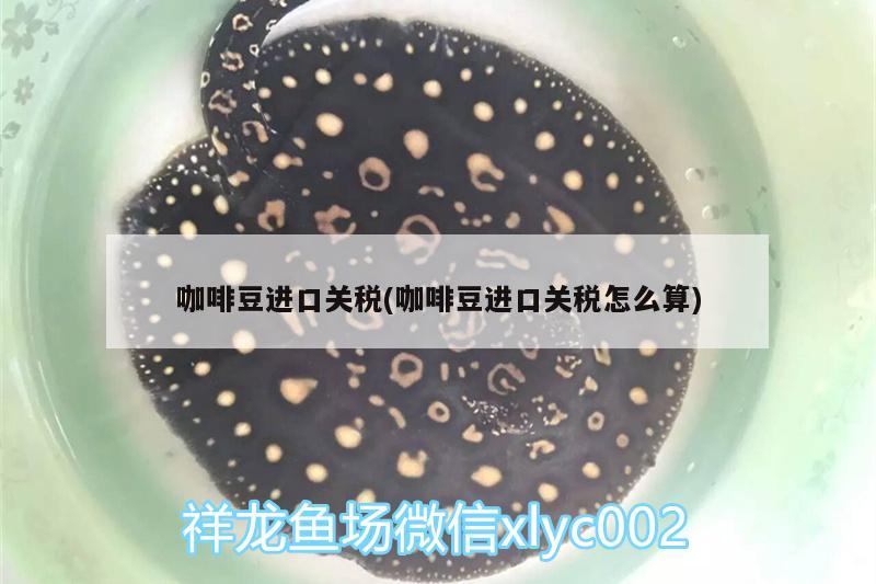 咖啡豆進口關稅(咖啡豆進口關稅怎么算)