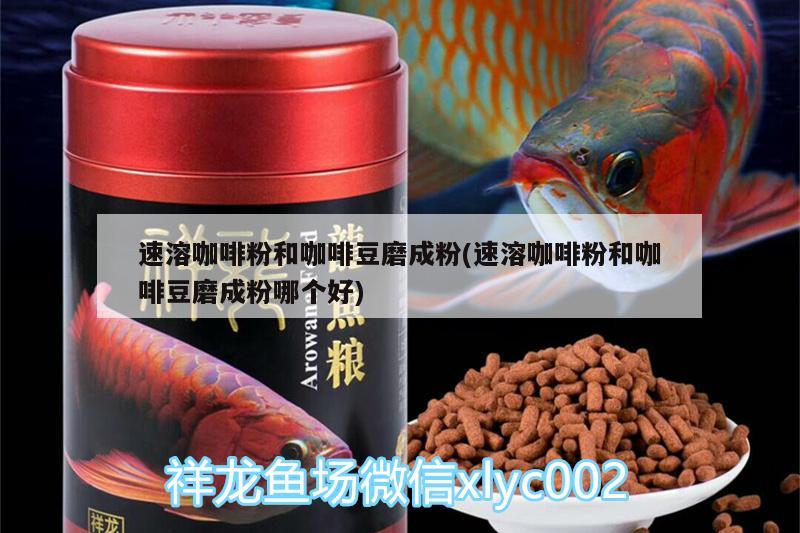 速溶咖啡粉和咖啡豆磨成粉(速溶咖啡粉和咖啡豆磨成粉哪個好)