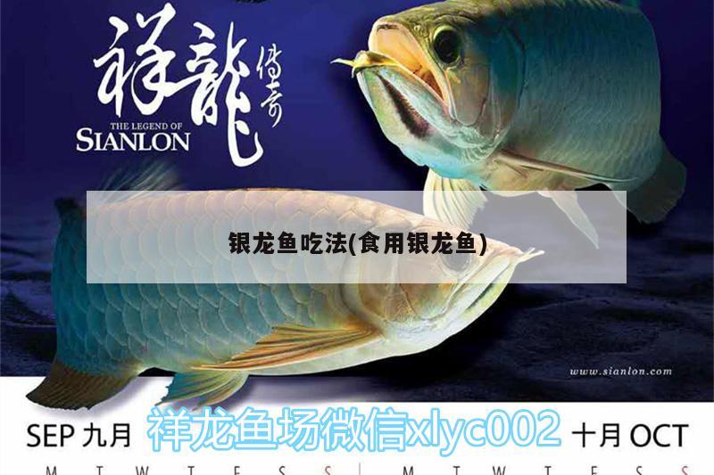 銀龍魚吃法(食用銀龍魚)