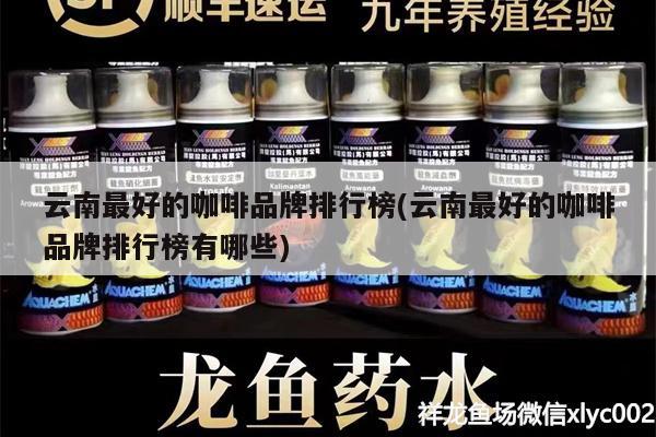 云南最好的咖啡品牌排行榜(云南最好的咖啡品牌排行榜有哪些)