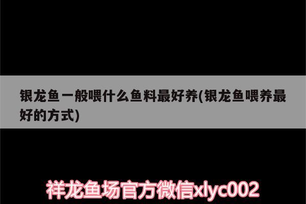 銀龍魚一般喂什么魚料最好養(yǎng)(銀龍魚喂養(yǎng)最好的方式)