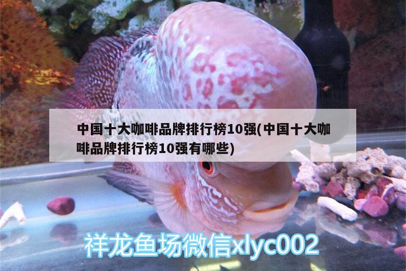 中國十大咖啡品牌排行榜10強(qiáng)(中國十大咖啡品牌排行榜10強(qiáng)有哪些)