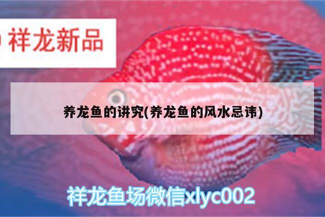 養(yǎng)龍魚的講究(養(yǎng)龍魚的風(fēng)水忌諱) 魚缸風(fēng)水