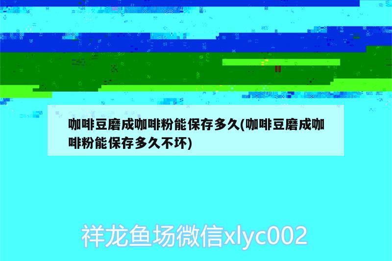 咖啡豆磨成咖啡粉能保存多久(咖啡豆磨成咖啡粉能保存多久不壞)