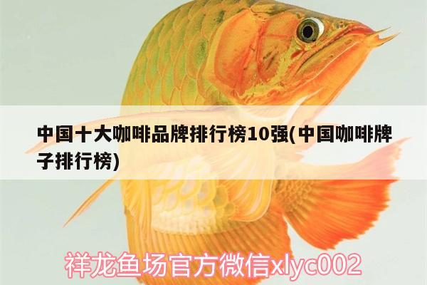 中國十大咖啡品牌排行榜10強(qiáng)(中國咖啡牌子排行榜)