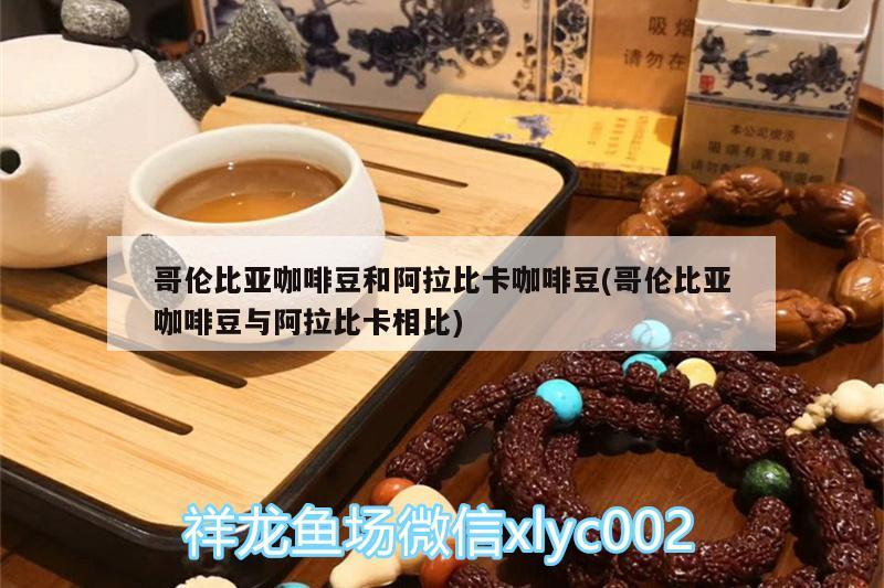 哥倫比亞咖啡豆和阿拉比卡咖啡豆(哥倫比亞咖啡豆與阿拉比卡相比) 馬來西亞咖啡