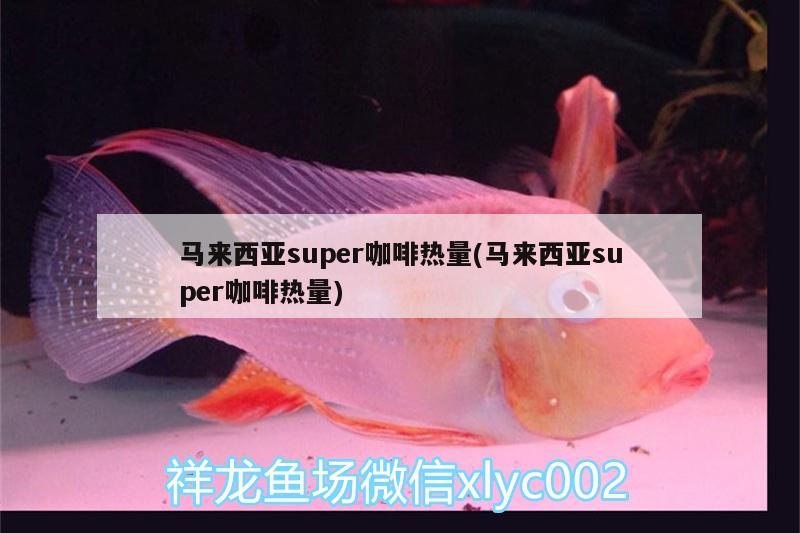 馬來西亞super咖啡熱量(馬來西亞super咖啡熱量) 垂釣樂園