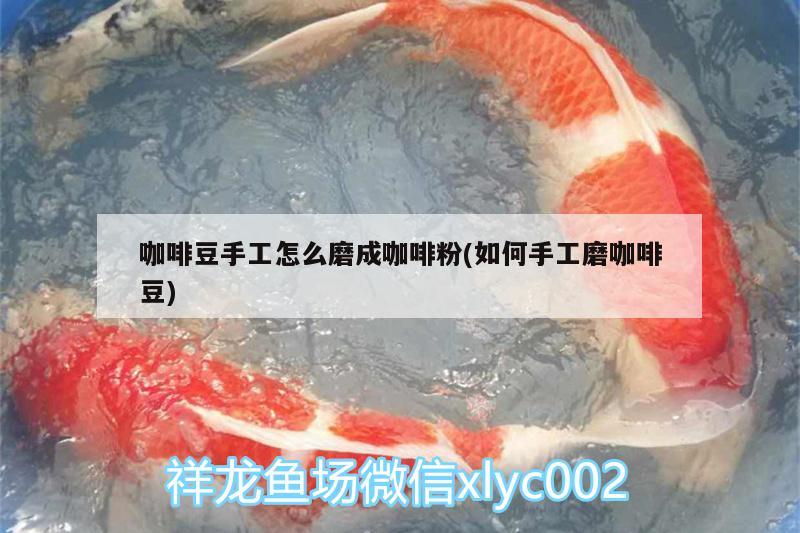 咖啡豆手工怎么磨成咖啡粉(如何手工磨咖啡豆) 馬來西亞咖啡