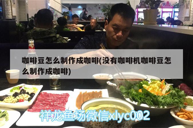 咖啡豆怎么制作成咖啡(沒有咖啡機咖啡豆怎么制作成咖啡)