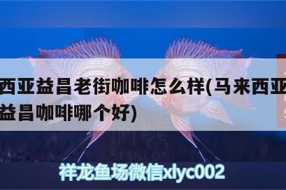 馬來西亞益昌老街咖啡怎么樣(馬來西亞舊街場和益昌咖啡哪個好) 馬來西亞咖啡