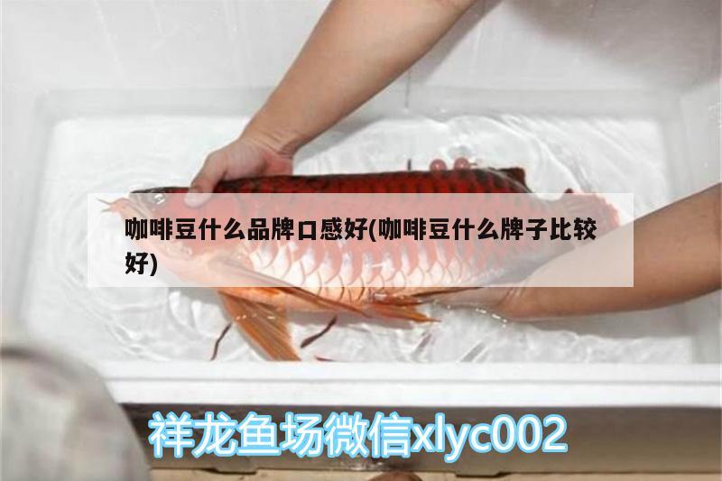 咖啡豆什么品牌口感好(咖啡豆什么牌子比較好)