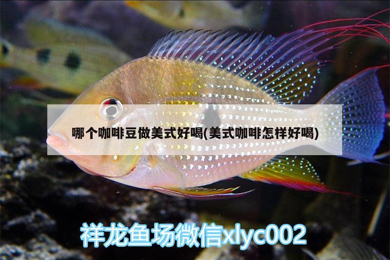 哪個(gè)咖啡豆做美式好喝(美式咖啡怎樣好喝)