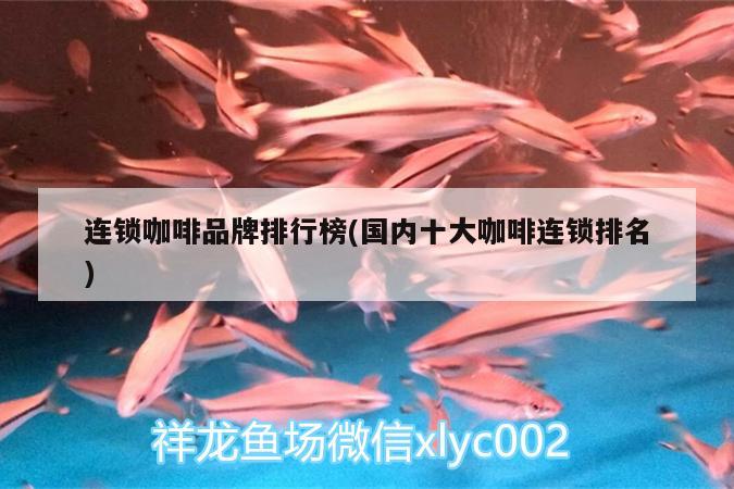 連鎖咖啡品牌排行榜(國內十大咖啡連鎖排名) 馬來西亞咖啡