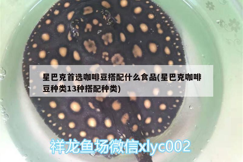 星巴克首選咖啡豆搭配什么食品(星巴克咖啡豆種類13種搭配種類) 馬來西亞咖啡