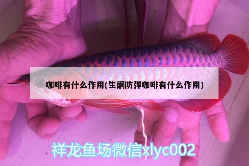 咖啡有什么作用(生酮防彈咖啡有什么作用) 馬來西亞咖啡