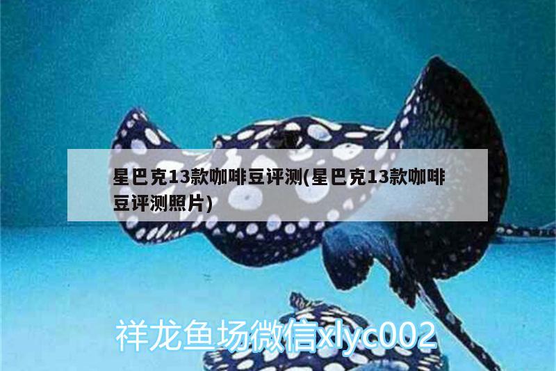 星巴克13款咖啡豆評(píng)測(cè)(星巴克13款咖啡豆評(píng)測(cè)照片)