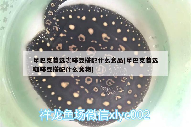 星巴克首選咖啡豆搭配什么食品(星巴克首選咖啡豆搭配什么食物)