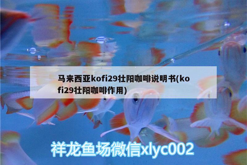 馬來西亞kofi29壯陽咖啡說明書(kofi29壯陽咖啡作用)