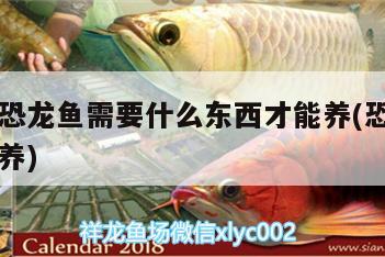 養(yǎng)六角恐龍魚(yú)需要什么東西才能養(yǎng)(恐龍六角魚(yú)怎么養(yǎng))