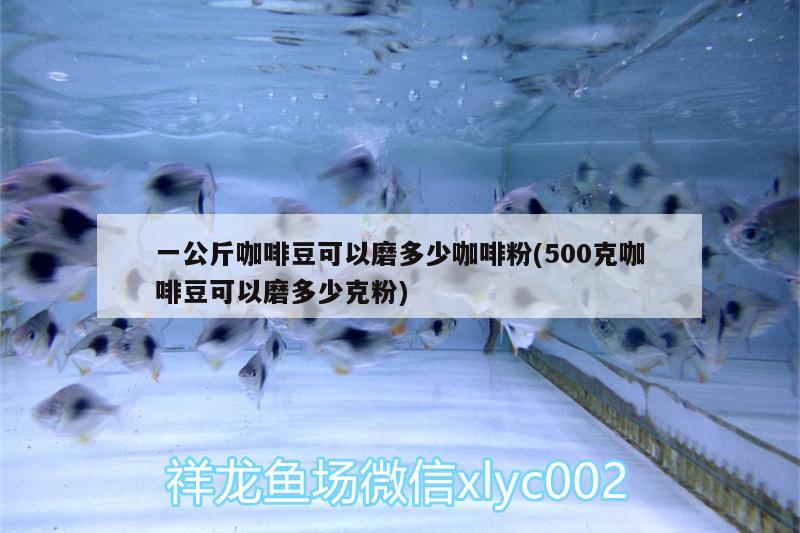 一公斤咖啡豆可以磨多少咖啡粉(500克咖啡豆可以磨多少克粉) 馬來(lái)西亞咖啡