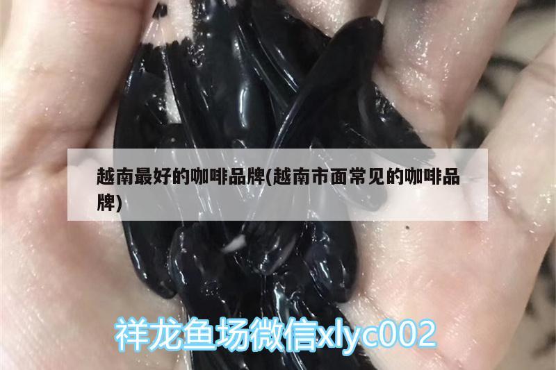 越南最好的咖啡品牌(越南市面常見的咖啡品牌)