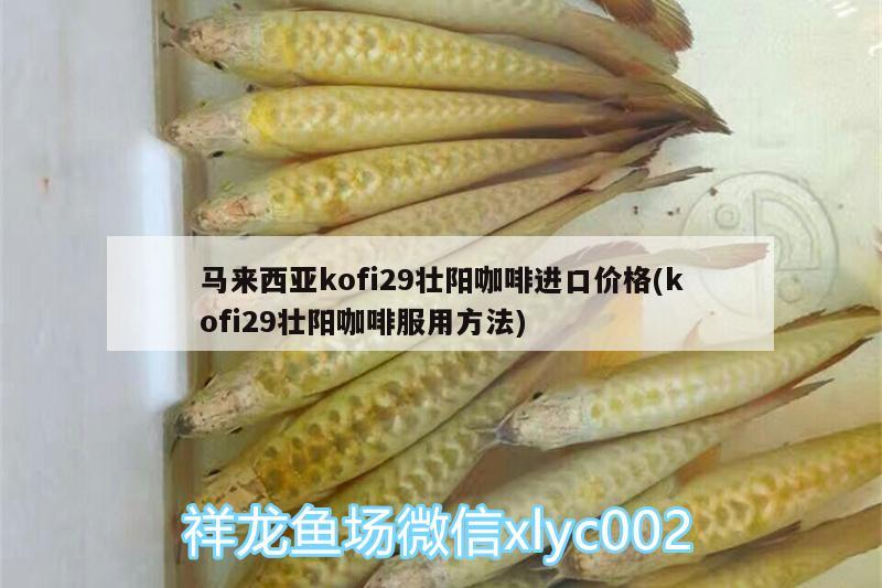 馬來西亞kofi29壯陽咖啡進(jìn)口價格(kofi29壯陽咖啡服用方法) 馬來西亞咖啡 第2張