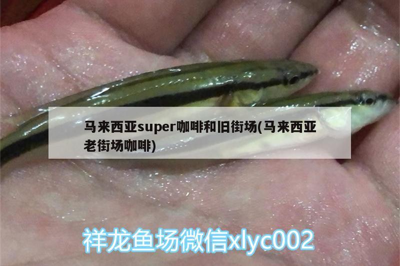 馬來西亞super咖啡和舊街場(馬來西亞老街場咖啡) 垂釣樂園