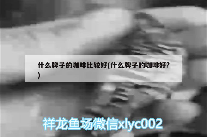 什么牌子的咖啡比較好(什么牌子的咖啡好?)