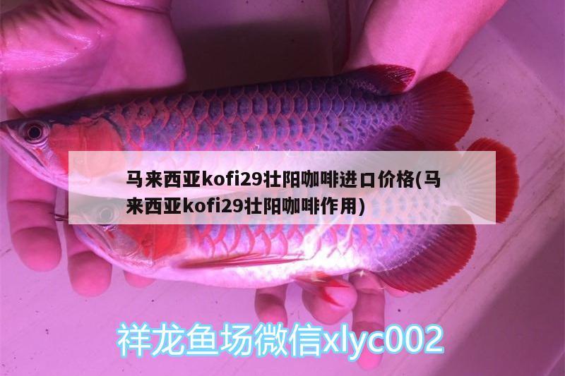 馬來西亞kofi29壯陽咖啡進(jìn)口價格(馬來西亞kofi29壯陽咖啡作用) 馬來西亞咖啡