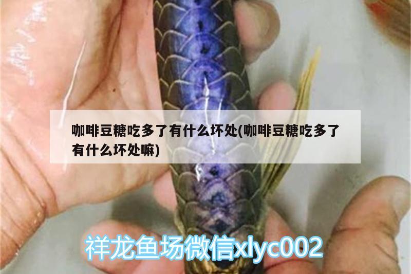 咖啡豆糖吃多了有什么壞處(咖啡豆糖吃多了有什么壞處嘛) 馬來西亞咖啡