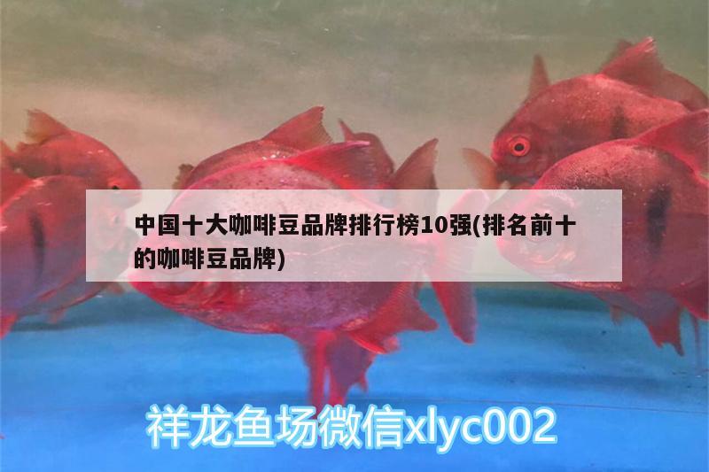 中國(guó)十大咖啡豆品牌排行榜10強(qiáng)(排名前十的咖啡豆品牌) 馬來西亞咖啡