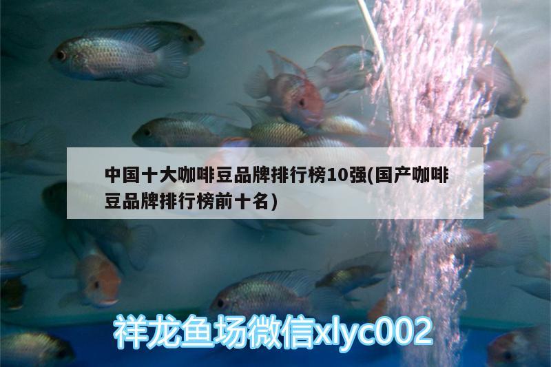 中國十大咖啡豆品牌排行榜10強(國產咖啡豆品牌排行榜前十名) 馬來西亞咖啡