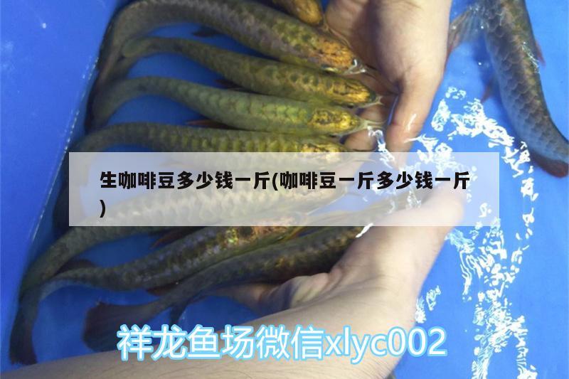 生咖啡豆多少錢一斤(咖啡豆一斤多少錢一斤)