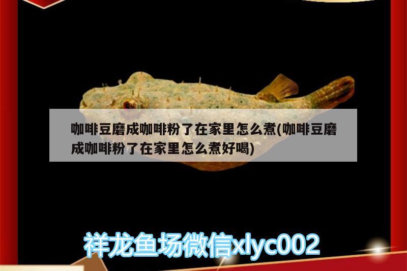 咖啡豆磨成咖啡粉了在家里怎么煮(咖啡豆磨成咖啡粉了在家里怎么煮好喝) 馬來西亞咖啡