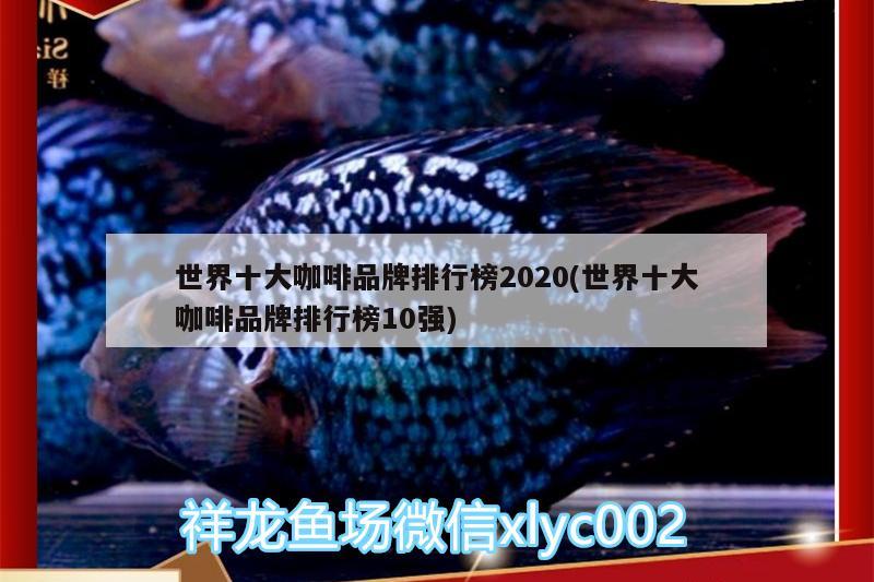 世界十大咖啡品牌排行榜2020(世界十大咖啡品牌排行榜10強(qiáng))