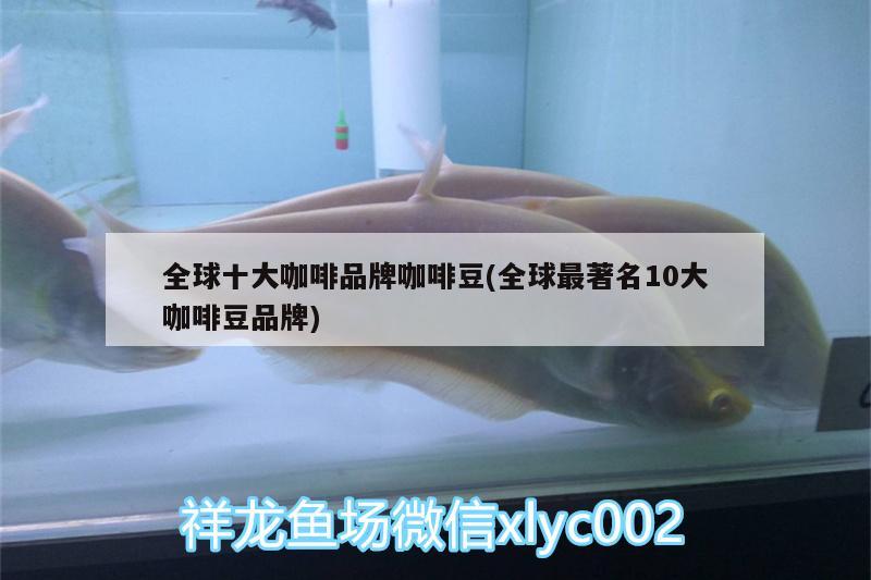 全球十大咖啡品牌咖啡豆(全球最著名10大咖啡豆品牌) 馬來西亞咖啡