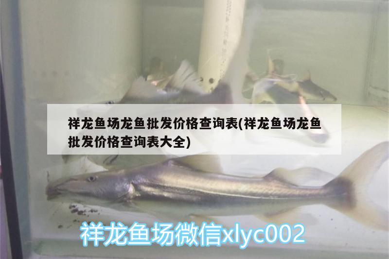 祥龍魚場龍魚批發(fā)價格查詢表(祥龍魚場龍魚批發(fā)價格查詢表大全) 龍魚批發(fā)