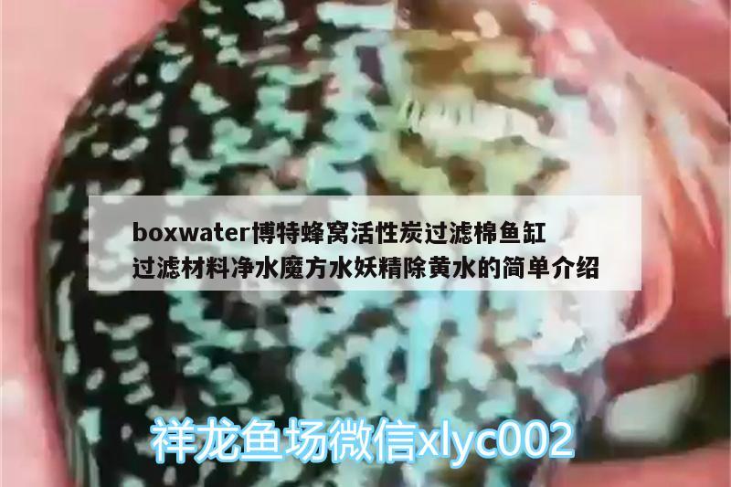 boxwater博特蜂窩活性炭過濾棉魚缸過濾材料凈水魔方水妖精除黃水的簡單介紹 博特水族