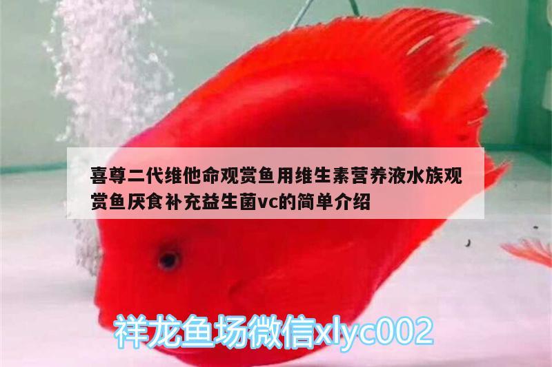 喜尊二代維他命觀賞魚用維生素營養(yǎng)液水族觀賞魚厭食補(bǔ)充益生菌vc的簡單介紹 廣州水族器材濾材批發(fā)市場