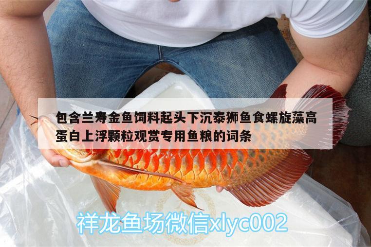 包含蘭壽金魚飼料起頭下沉泰獅魚食螺旋藻高蛋白上浮顆粒觀賞專用魚糧的詞條 廣州水族器材濾材批發(fā)市場