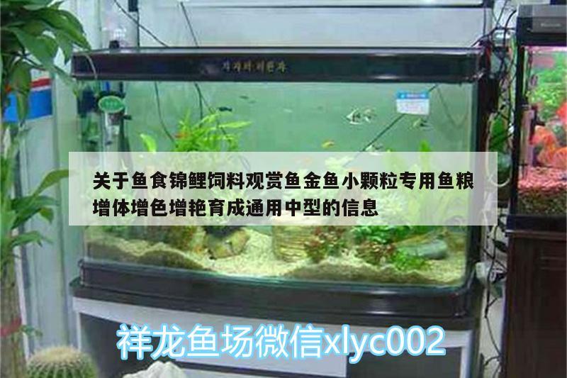 關(guān)于魚食錦鯉飼料觀賞魚金魚小顆粒專用魚糧增體增色增艷育成通用中型的信息 廣州水族器材濾材批發(fā)市場(chǎng)