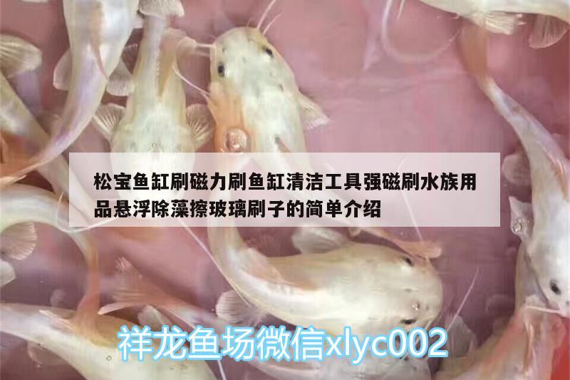 松寶魚缸刷磁力刷魚缸清潔工具強(qiáng)磁刷水族用品懸浮除藻擦玻璃刷子的簡單介紹