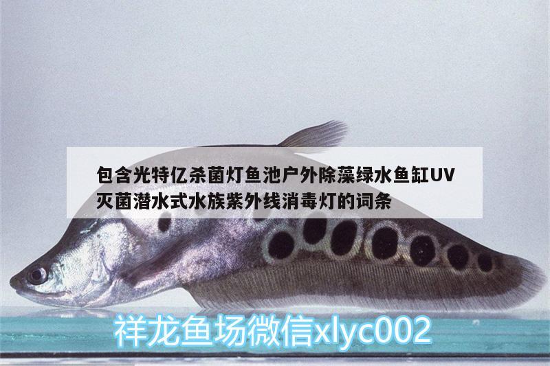 包含光特億殺菌燈魚(yú)池戶外除藻綠水魚(yú)缸UV滅菌潛水式水族紫外線消毒燈的詞條