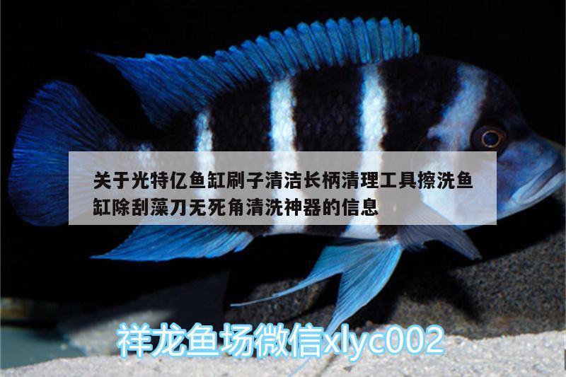 關(guān)于光特億魚(yú)缸刷子清潔長(zhǎng)柄清理工具擦洗魚(yú)缸除刮藻刀無(wú)死角清洗神器的信息