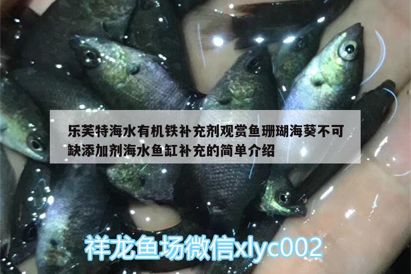 樂芙特海水有機鐵補充劑觀賞魚珊瑚?？豢扇碧砑觿┖Ｋ~缸補充的簡單介紹 海水魚