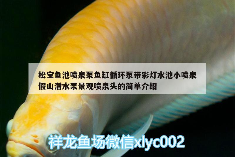 松寶魚池噴泉泵魚缸循環(huán)泵帶彩燈水池小噴泉假山潛水泵景觀噴泉頭的簡單介紹