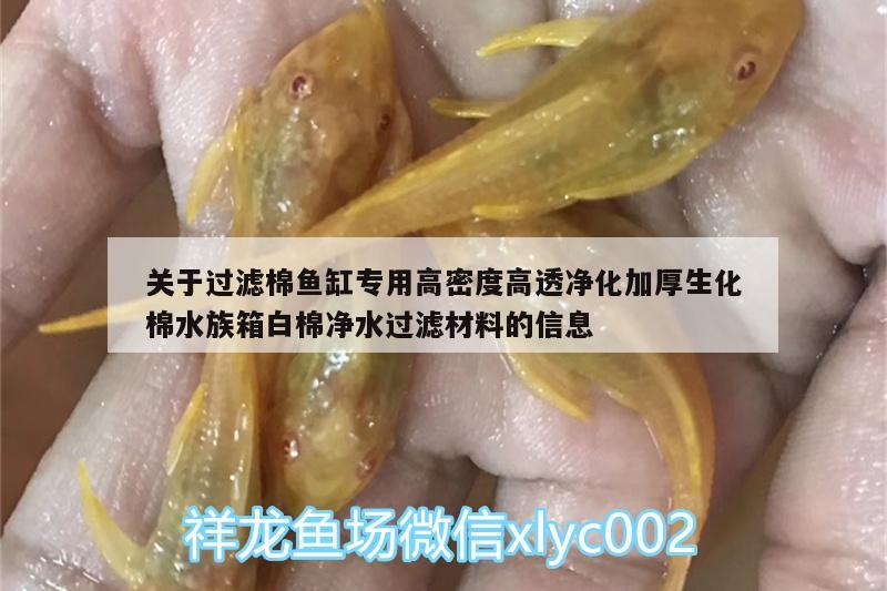 關(guān)于過(guò)濾棉魚(yú)缸專用高密度高透凈化加厚生化棉水族箱白棉凈水過(guò)濾材料的信息 魚(yú)缸/水族箱