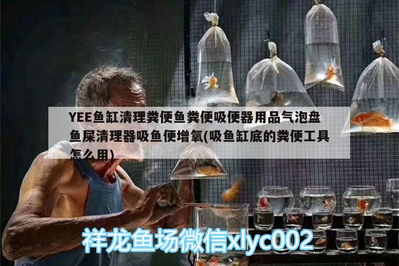 YEE魚缸清理糞便魚糞便吸便器用品氣泡盤魚屎清理器吸魚便增氧(吸魚缸底的糞便工具怎么用) yee