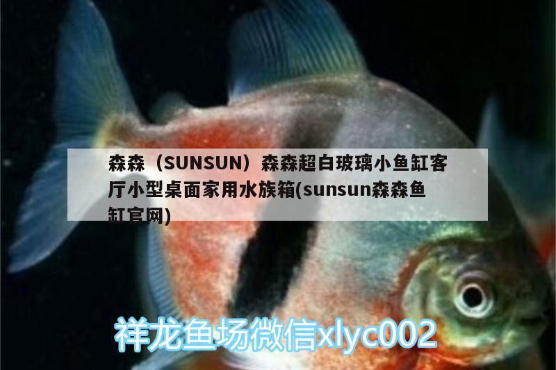 森森（SUNSUN）森森超白玻璃小魚缸客廳小型桌面家用水族箱(sunsun森森魚缸官網(wǎng)) 魚缸/水族箱